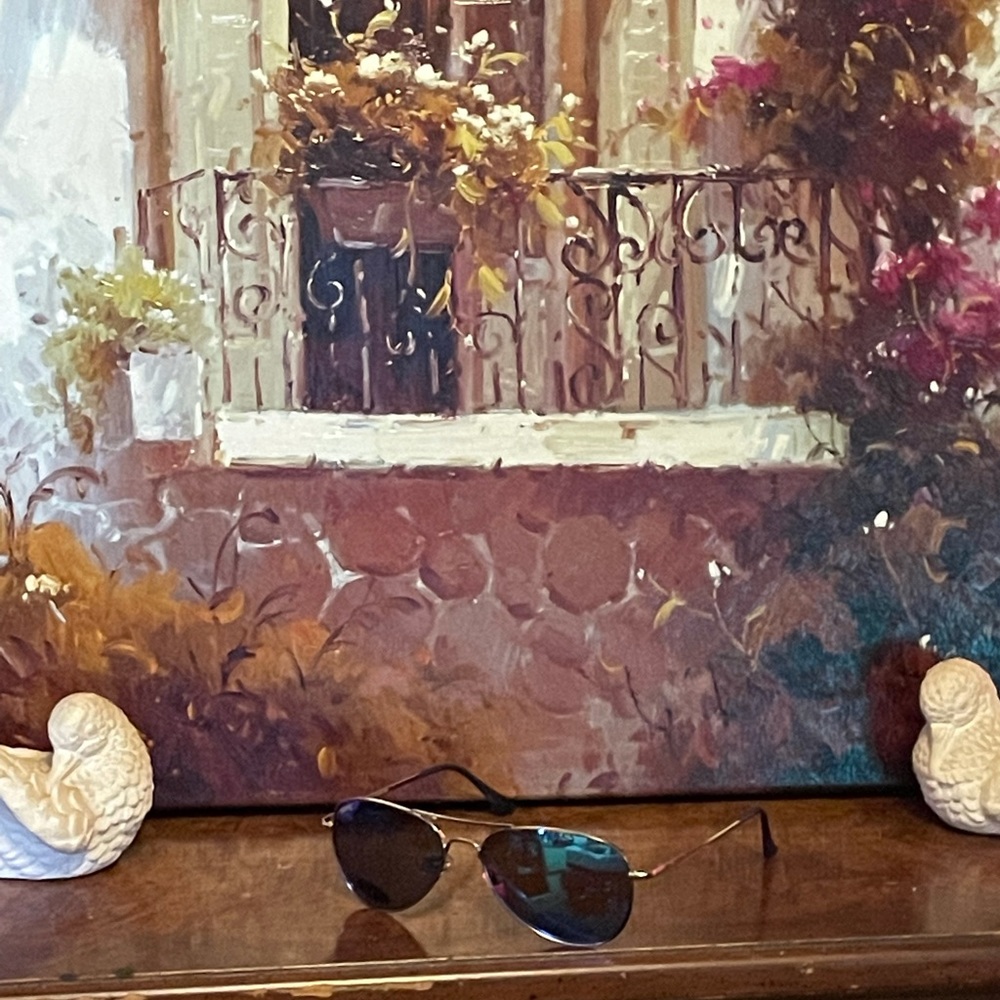 PUGS AVIATORS